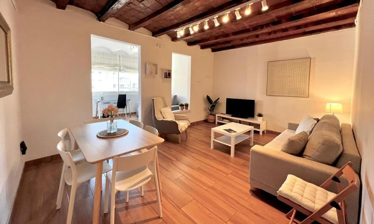 Bright & Spacious Family Flat In Central Barcelona 0*,  Spain